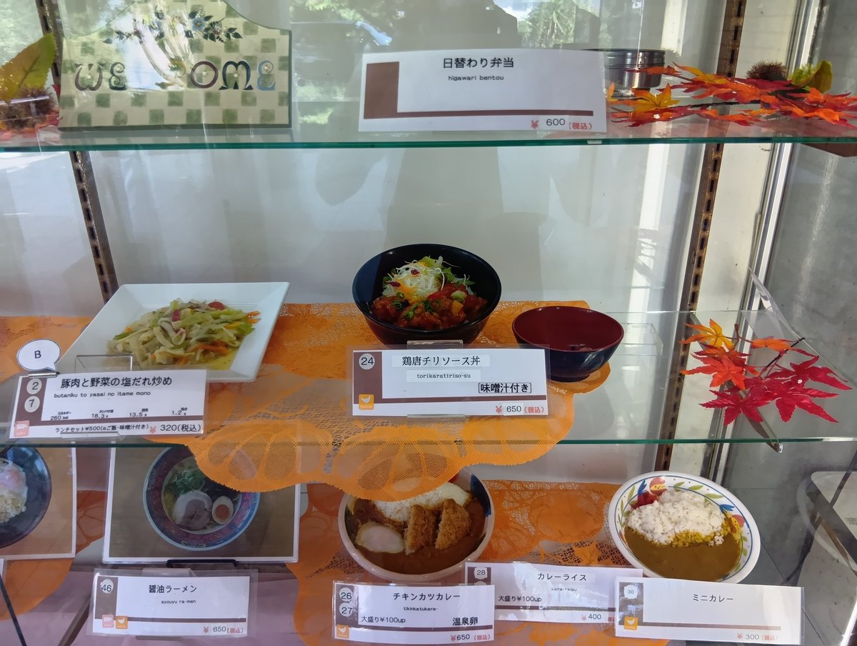 laforet_gfk's tweet photo. おはようございます☀本日のメニュー
ひれかつ
豚肉と野菜の塩ダレ炒め
鶏唐チリソース丼
やっと晴れましたね〜🌞今日は暑くなりそうですね明日からは新学期ですね！
明日のおすすめはガパオライスとなっております✨ https://t.co/jOWCFj5kU1