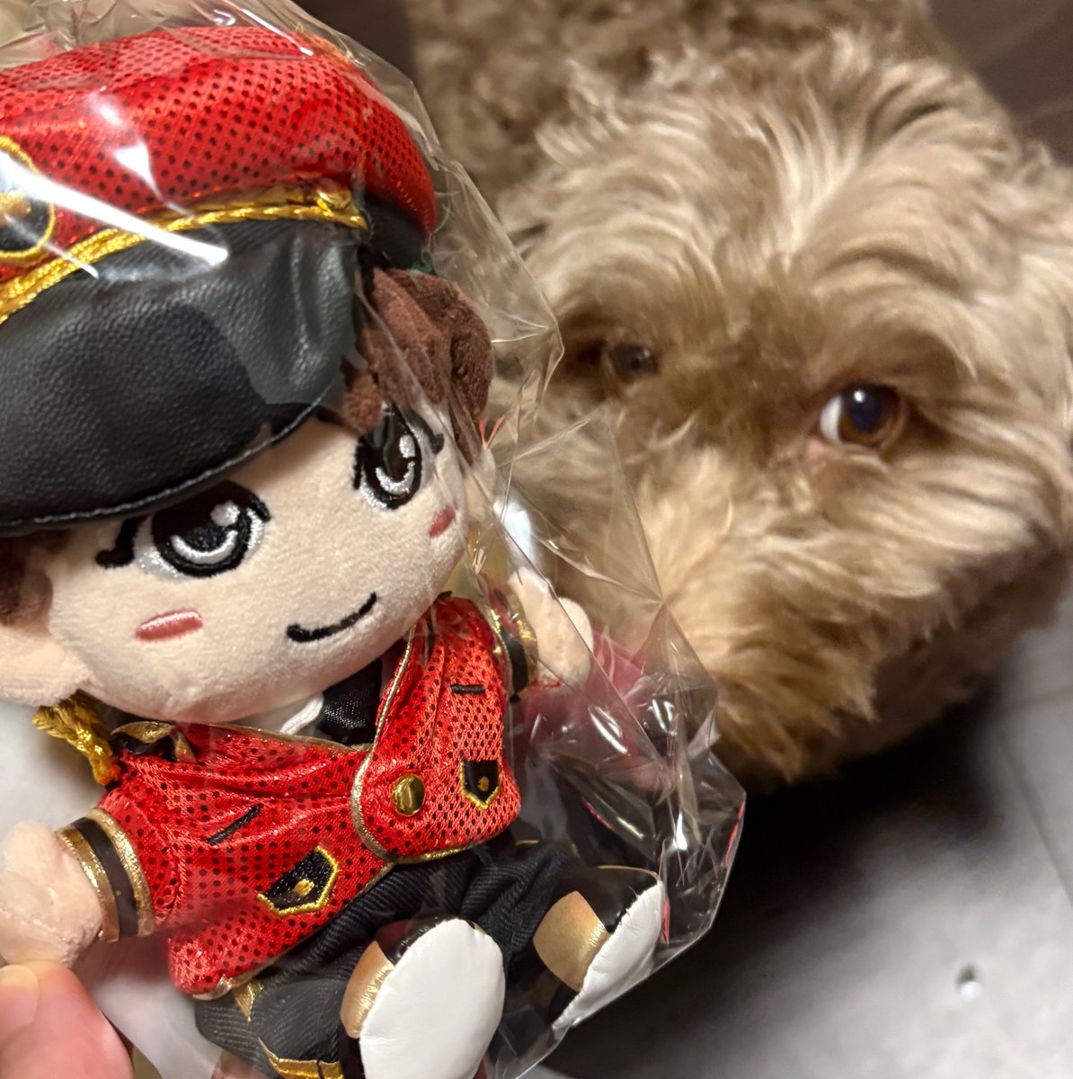10_choco07's tweet photo. 可愛いの届いたー！！！⸜(*˙꒳˙*)⸝

潤くんぬいも作りたいところ
ぬいはあみぐるみしか作ったことないけど多分作れるはず？ https://t.co/1uBLZWe4tt