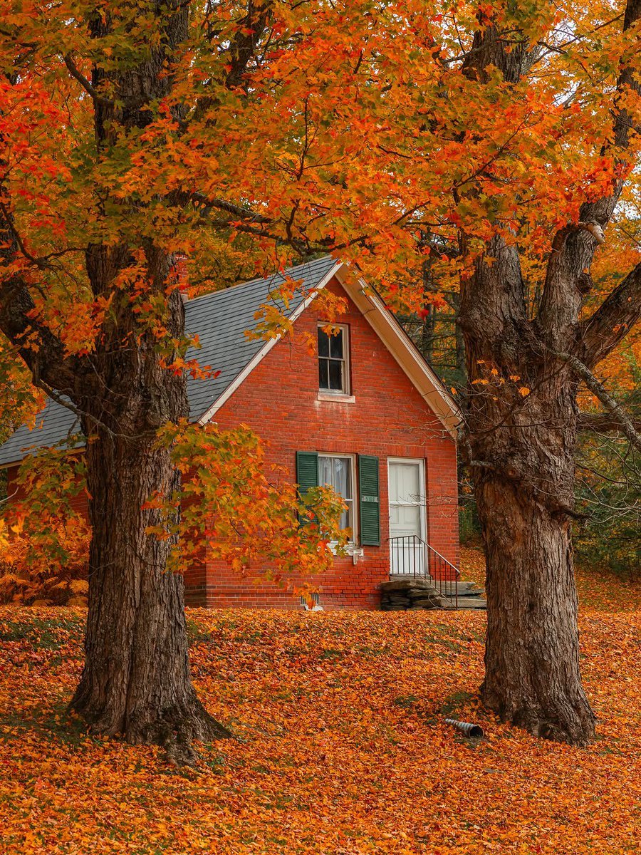 Alina_bloom79's tweet photo. fall's in vermont.. 🍁 https://t.co/peEPO5qpb9