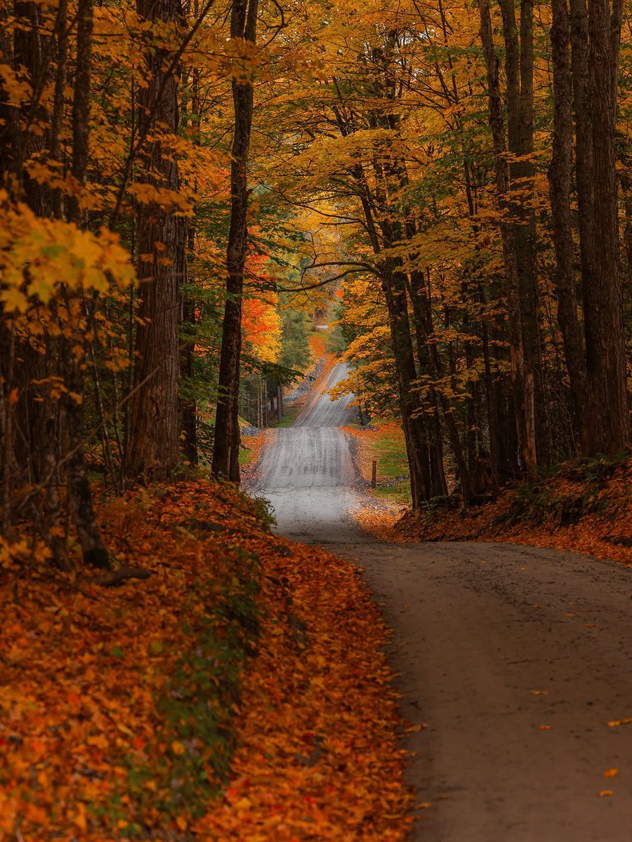 Alina_bloom79's tweet photo. fall's in vermont.. 🍁 https://t.co/peEPO5qpb9