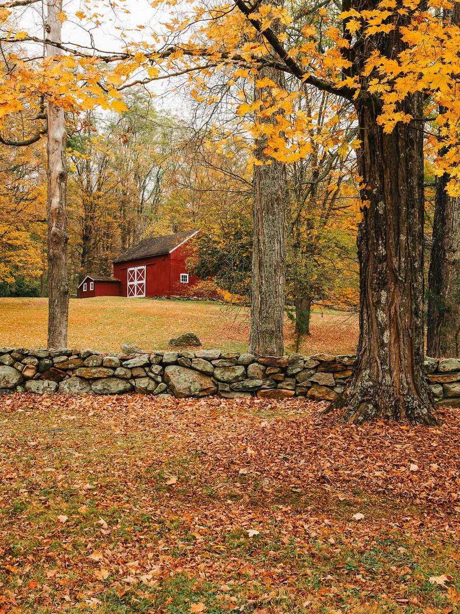 Alina_bloom79's tweet photo. fall's in vermont.. 🍁 https://t.co/peEPO5qpb9