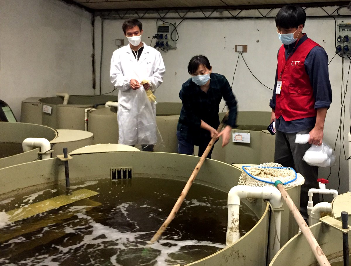 hch1067's tweet photo. [Shrimp ring plague outbreak in the local aquaculture area, local authorities have launched emergency control measures]， https://t.co/KYnmDAxBSE