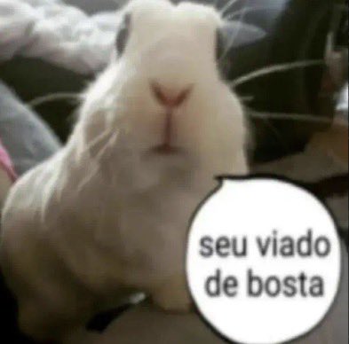 zolpidavidson's tweet photo. Cliquei errado e mandei essa figurinha pra a minha mãe https://t.co/4rw0SGhJJ6