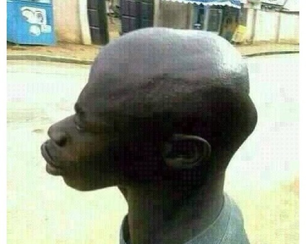 wtpiq's tweet photo. @MollyWop9 @realillyrian668 @VSkotheim73298 @TINGIS47 ew ugly zoo~mali head..

anyway take a look at this high class niger-congo side profile https://t.co/EW3l26KzYF