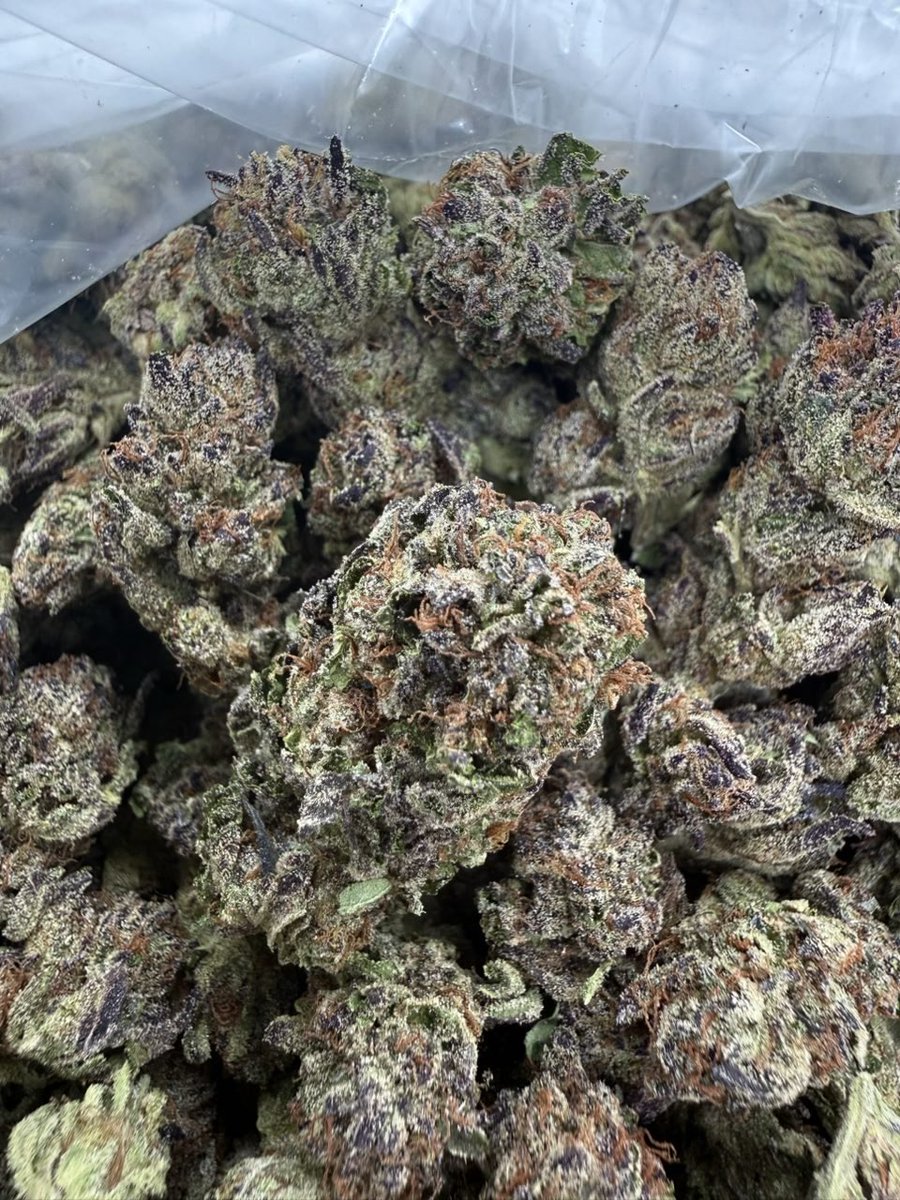 TommyPlugLa's tweet photo. Grape Zours https://t.co/HI8KNLxRCv