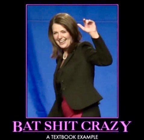 voice_2020's tweet photo. I look forward to the day that Alberta has seen the last of this bat shit crazy traitor. 
Tick tock @ABDanielleSmith 🤣 https://t.co/2VPZyuIHuu