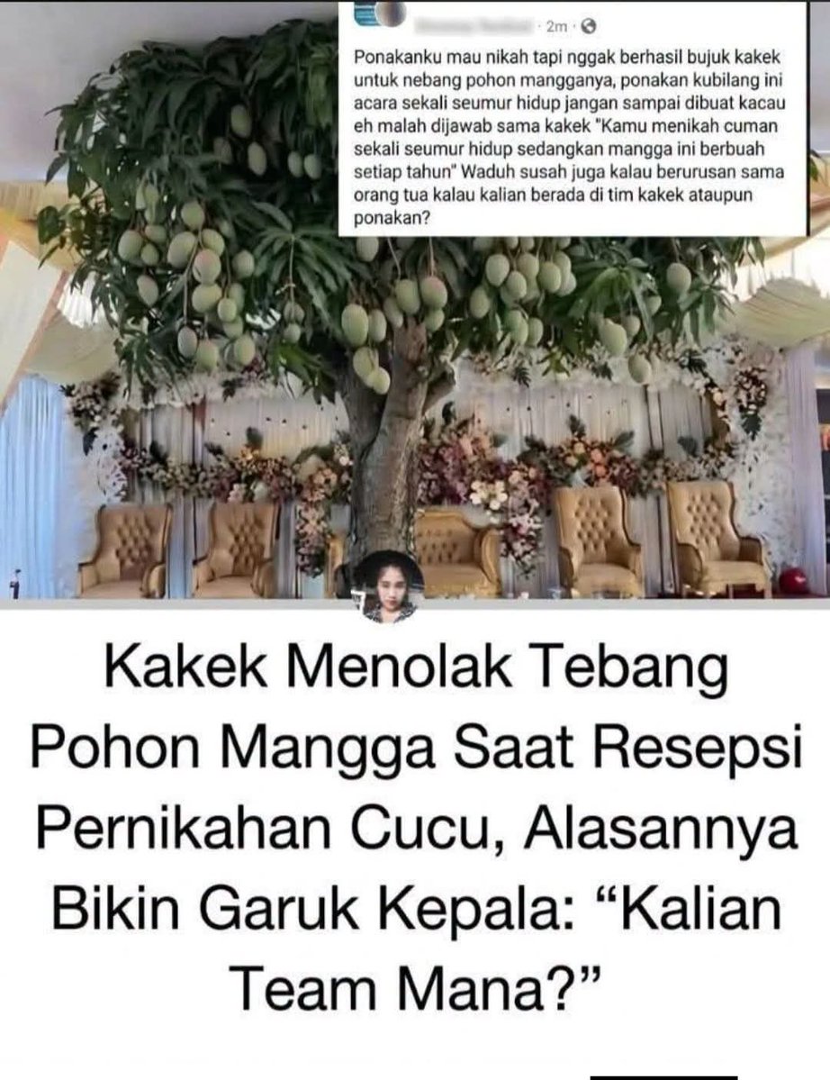 keluhkesahkonoh's tweet photo. Aku tim kakek aja lah 😭 Memang resepsi pernikahan niatnya sekali seumur hidup, tapi pohon mangga juga bisa berbuah seumur hidup 😁

Aku be ngajog WIT pelemku, malah ditegor 😭 https://t.co/A7BOcQEX5w