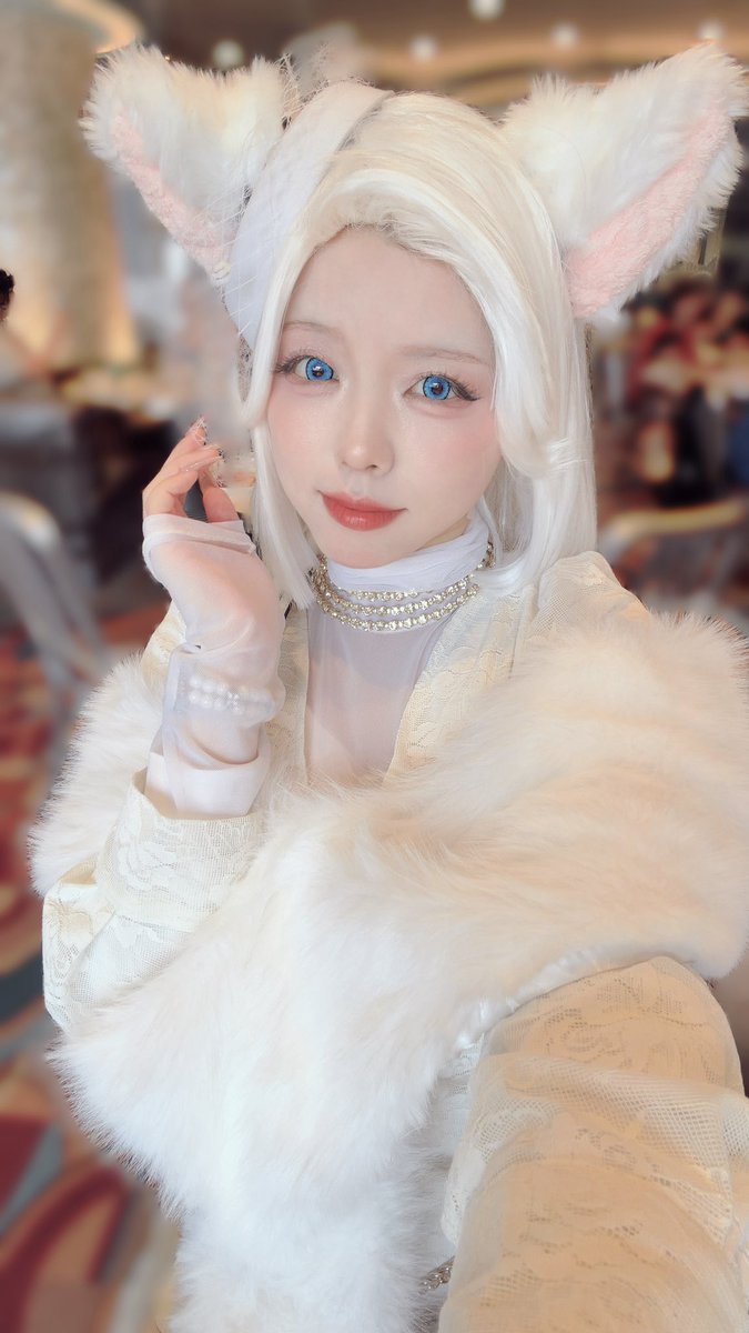 c_tangled_D's tweet photo. 本日初出し母🐱でおります♡
オマリー、マリー、カメラちゃんでいますよん https://t.co/k9esWTdSMb