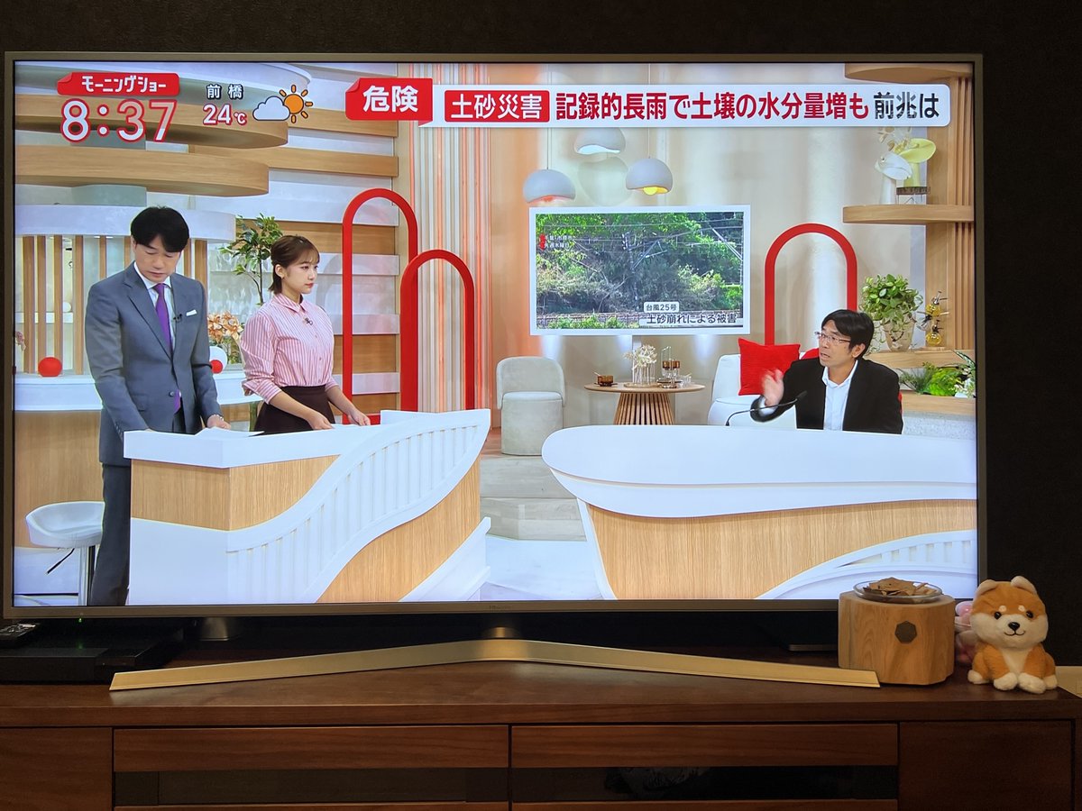 tebakari's tweet photo. 今朝は羽鳥真一モーニングショーに登場しました。台風26号が近づいている中、土砂災害など次の災害への備えについていくつか短くコメントさせていただきました。皆さんぜひ気を付けて欲しいです。
#中央大学 #社会理工学部 #都市環境学科 #河川・水文研究室 https://t.co/WSx8EU9qV0