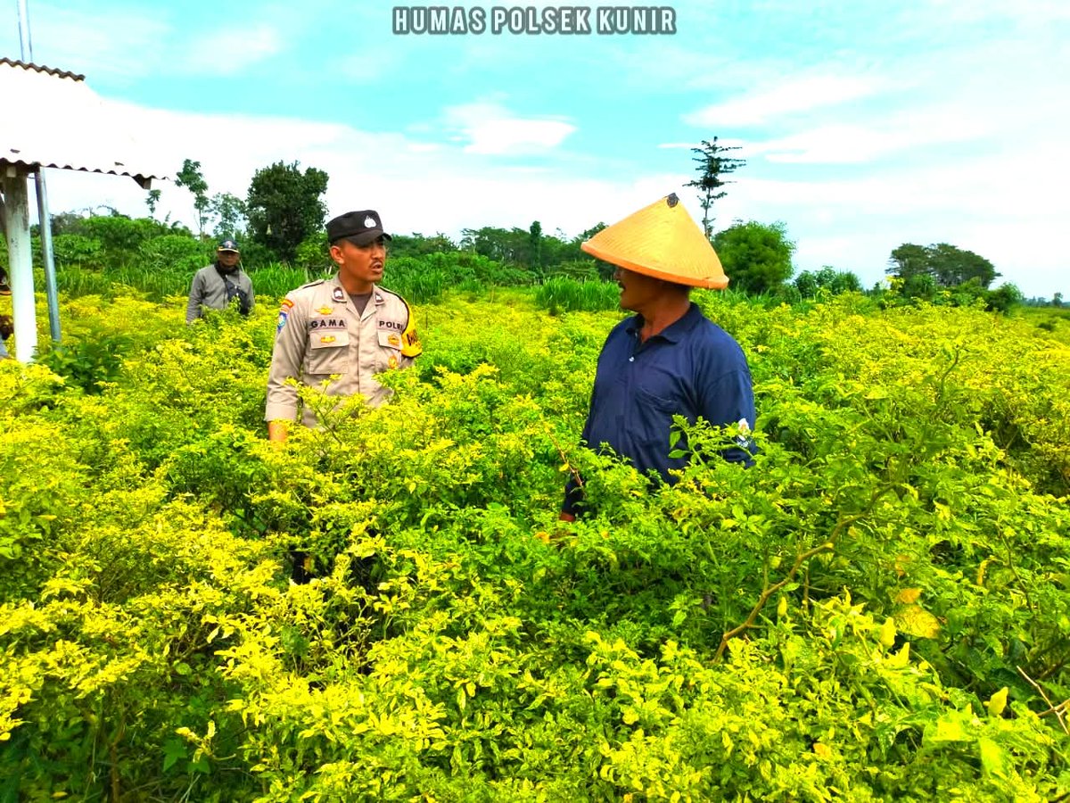 PolTempursari's tweet photo. POLRI DUKUNG PROGRAM ASTA CITA PRESIDEN 'KETAHANAN PANGAN NASIONAL'.
#astacita #swasembadapangan #ketahananpangan #ketahananpanganpoldajatim #ssdmpolri #divhumaspolri #birosdmpoldajatim #bidhumaspoldajatim #polreslumajang #kabupatenlumajang https://t.co/LVdL0n13qF