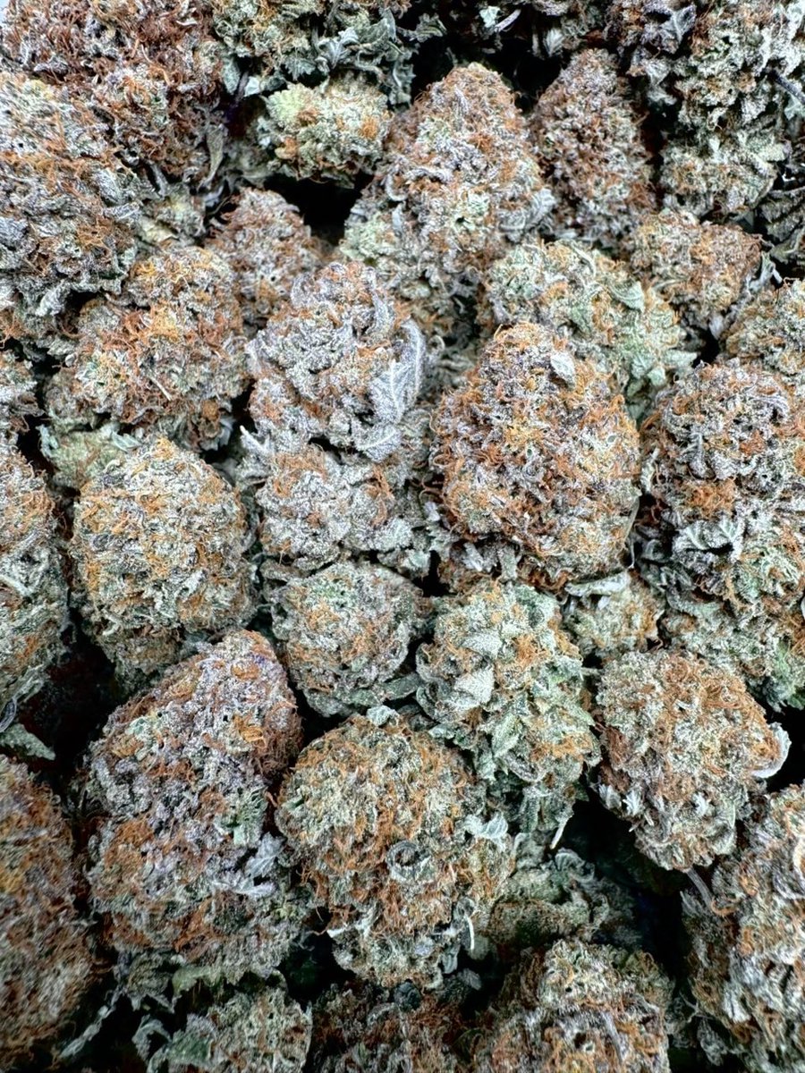 TommyPlugLa's tweet photo. Platinum Bubba indoor https://t.co/3jTcST4UZk