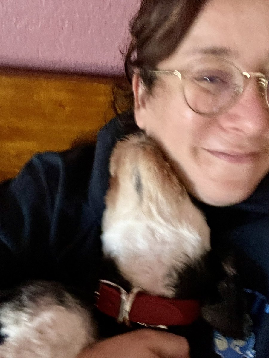 jaxwendy's tweet photo. We have adopted Pip!! He has jaunty eyebrows, stubby legs, most of his teeth, perfect velvet ears, a penchant for luxury snacks from Erewhon, and an extremely winning personality. We have known him for exactly 56 hours and we love him already!! https://t.co/EWW2v46gIc