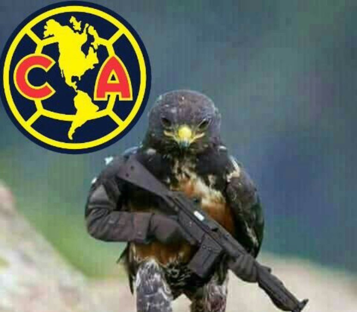 fforsavage's tweet photo. YA DEJEN A VIOLANTE CABRONES https://t.co/pNjLjhi3Ma