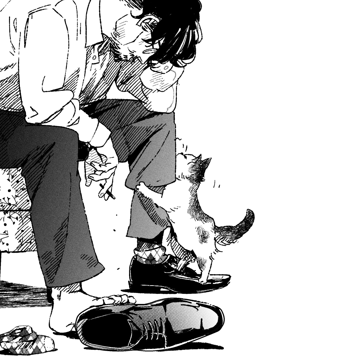 deejuusan's tweet photo. Cats https://t.co/hu9lNYI6Hw