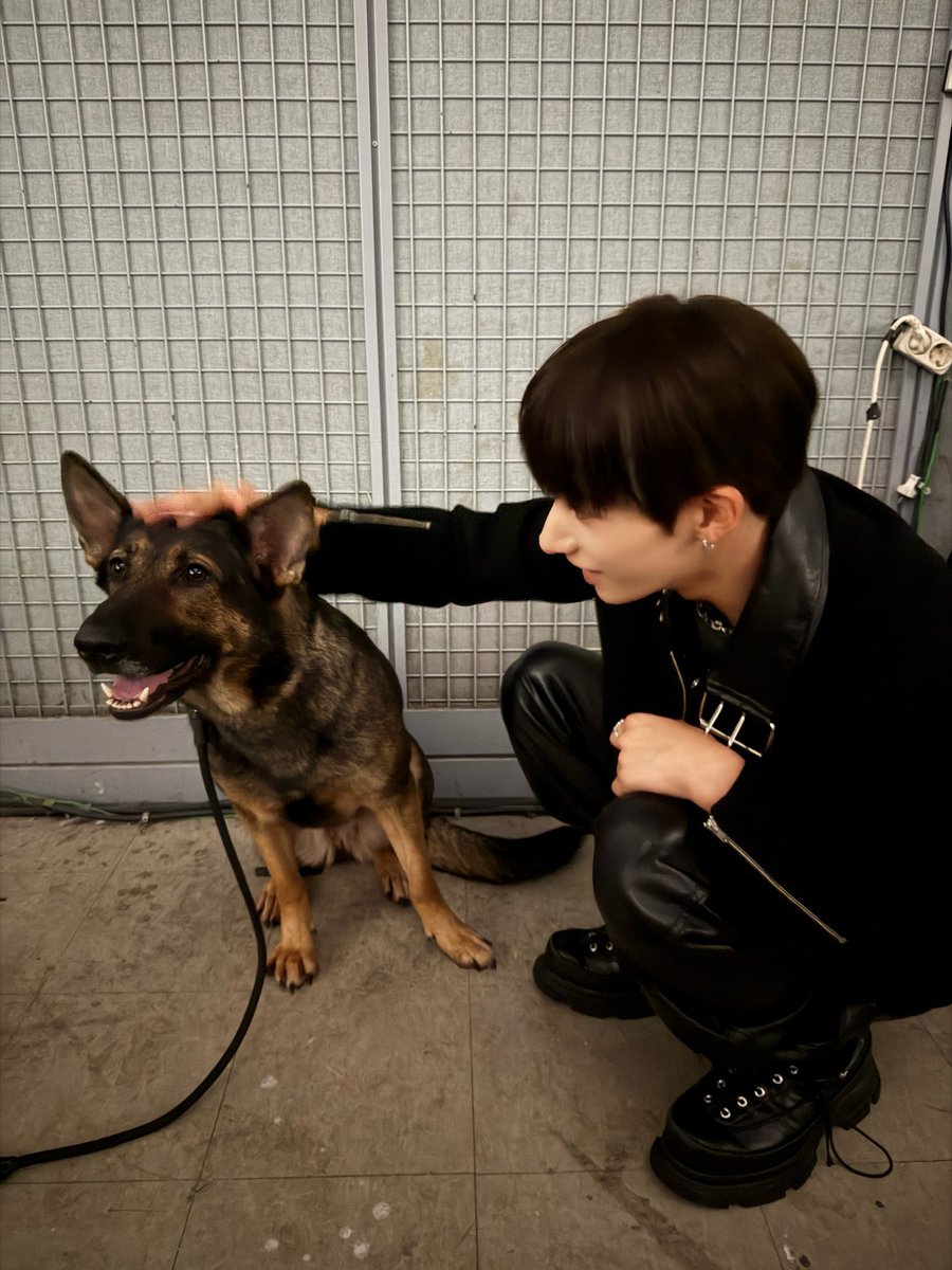 blxckbeak's tweet photo. MDS ESSE CACHORRO É IGUALZINHO O MEU TAFA 🥹🥹🥹🥹🥹 https://t.co/7wc8hEj99G