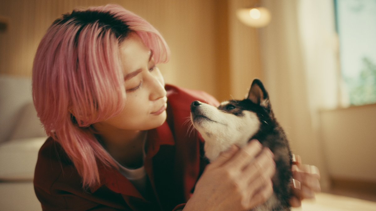 oricon's tweet photo. 佐久間大介、ワンちゃん猫ちゃんと戯れる
“相思相愛”な新WebCMに出演🐶🐱
https://t.co/TEpJRRZ6Bp
⠀
10月1日から公開・2篇
ペットフードブランド「懐石」CM https://t.co/f2p32wrEol