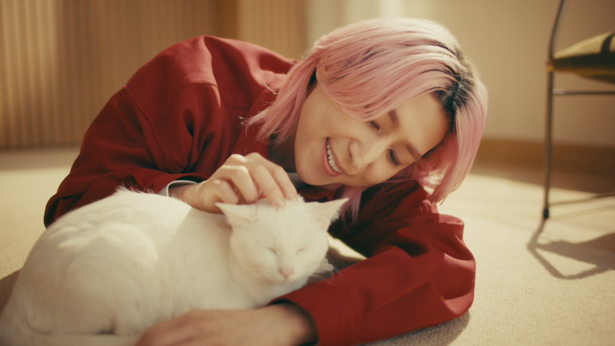 oricon's tweet photo. 佐久間大介、ワンちゃん猫ちゃんと戯れる
“相思相愛”な新WebCMに出演🐶🐱
https://t.co/TEpJRRZ6Bp
⠀
10月1日から公開・2篇
ペットフードブランド「懐石」CM https://t.co/f2p32wrEol