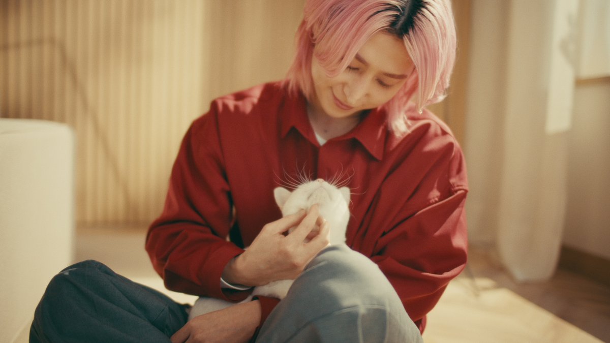 oricon's tweet photo. 佐久間大介、ワンちゃん猫ちゃんと戯れる
“相思相愛”な新WebCMに出演🐶🐱
https://t.co/TEpJRRZ6Bp
⠀
10月1日から公開・2篇
ペットフードブランド「懐石」CM https://t.co/f2p32wrEol