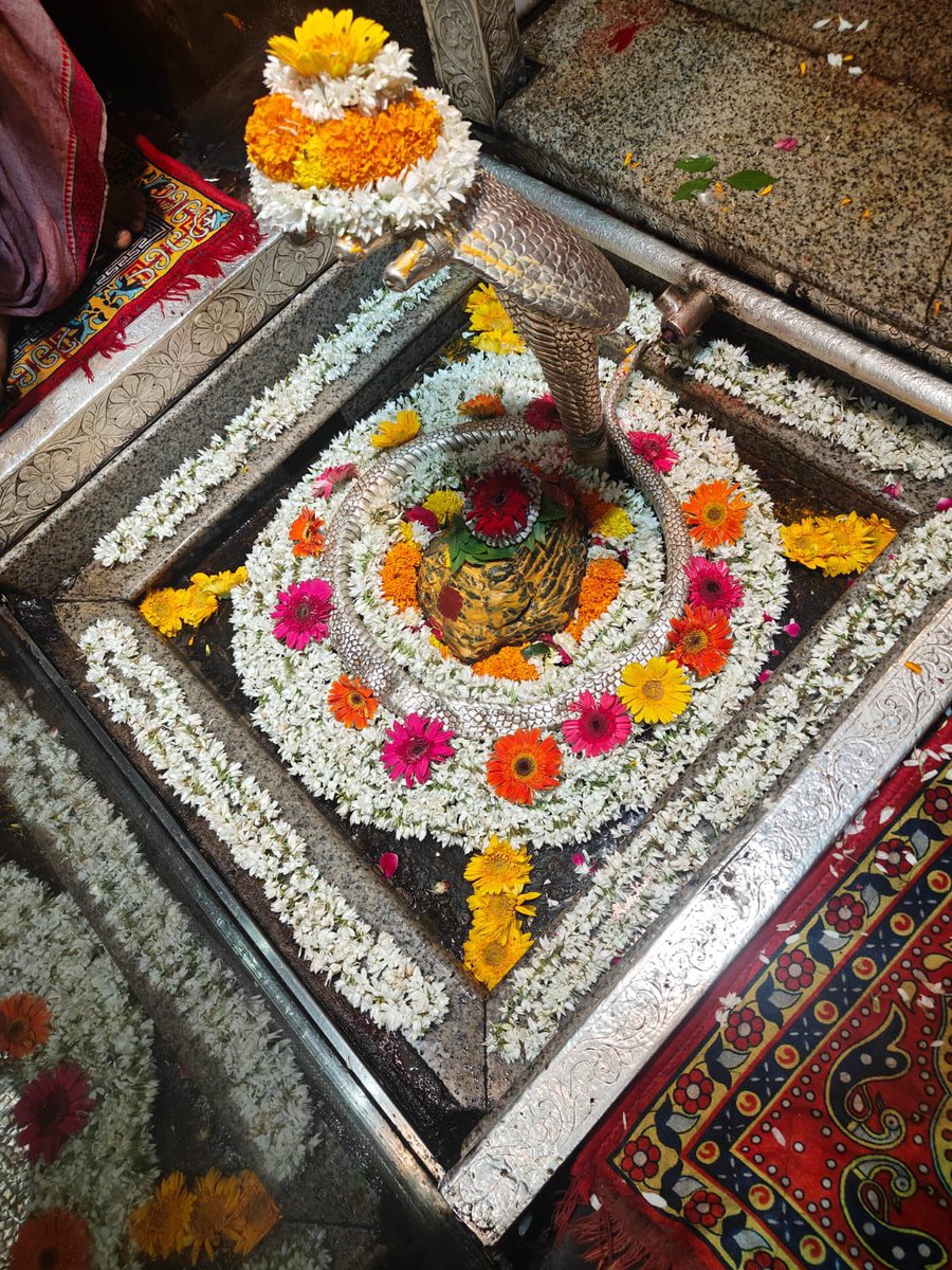 12Jyotirling's tweet photo. श्री ॐकारेश्वर ज्योतिर्लिंग मंगला आरती श्रृंगार | 30.09.2026

Shri Omkareshwar Jyotirlinga Mangala Aarti Shringar | 30.09.2026 https://t.co/nu1B6Pezoz