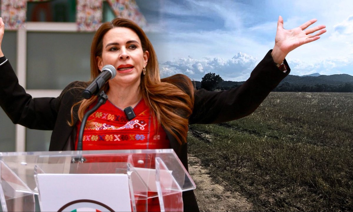 arlinmedrano_'s tweet photo. Hablemos del Cártel Inmobiliario del PRIvilegio. 🧵

La senadora Carolina Viggiano (@caroviggiano), secretaria general del PRI, compró en 2011 una parcela ejidal en Zempoala por $2 millones. En 2018 la vendió en $17,900,750. 

Hoy sigue siendo milpa: sin servicios, sin obras, sin cambio de uso de suelo.
795% de ganancia por un baldío. 

¿Quién pagó? JERGUI S.A. de C.V. 
Empresa contratista del DIF de Coahuila cuando ella lo presidía y su esposo gobernaba. Primer contrato: a tres meses de crearse y vetada por la Contraloría de Hidalgo por domicilio