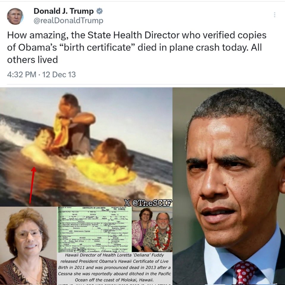 DeepLeaksHQ's tweet photo. State Health Director from Hawaii Loretta Fuddy who verified copies of Obama's "birth certificate" coincidentally died in a plane crash, while all others lived, even though you can clearly see that she is perfectly fine after the plane landed on the water. https://t.co/tKgc3KeFaa