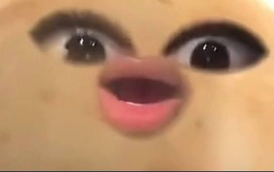 Stallioncowboy_'s tweet photo. Put niggas in limbo, I’m top of the totem
Wayment Megannnnnnnnnn
#TinaTuesdays https://t.co/muc6cREQeQ
