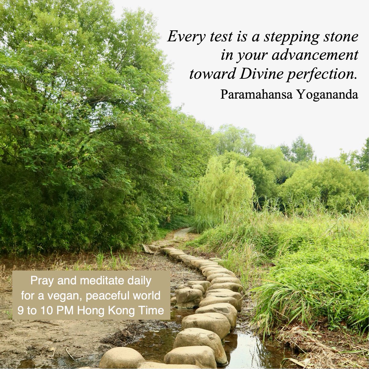 BScavullo's tweet photo. Every test is a stepping stone in your advancement toward Divine perfection. https://t.co/6TWfWOIbN5