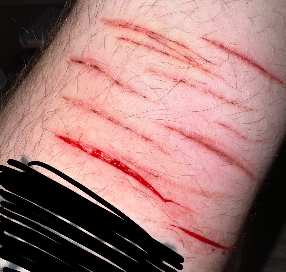 Whiffofthehound's tweet photo. Can't tell if that's a hint of a bean but either way I should really lock in and stay clean a while !!

Sfx NOT REAL !!! Fake fake fake trust
#shtwt #sharmtwt #slicetwt #ouchietwt https://t.co/k0OAoljcxH