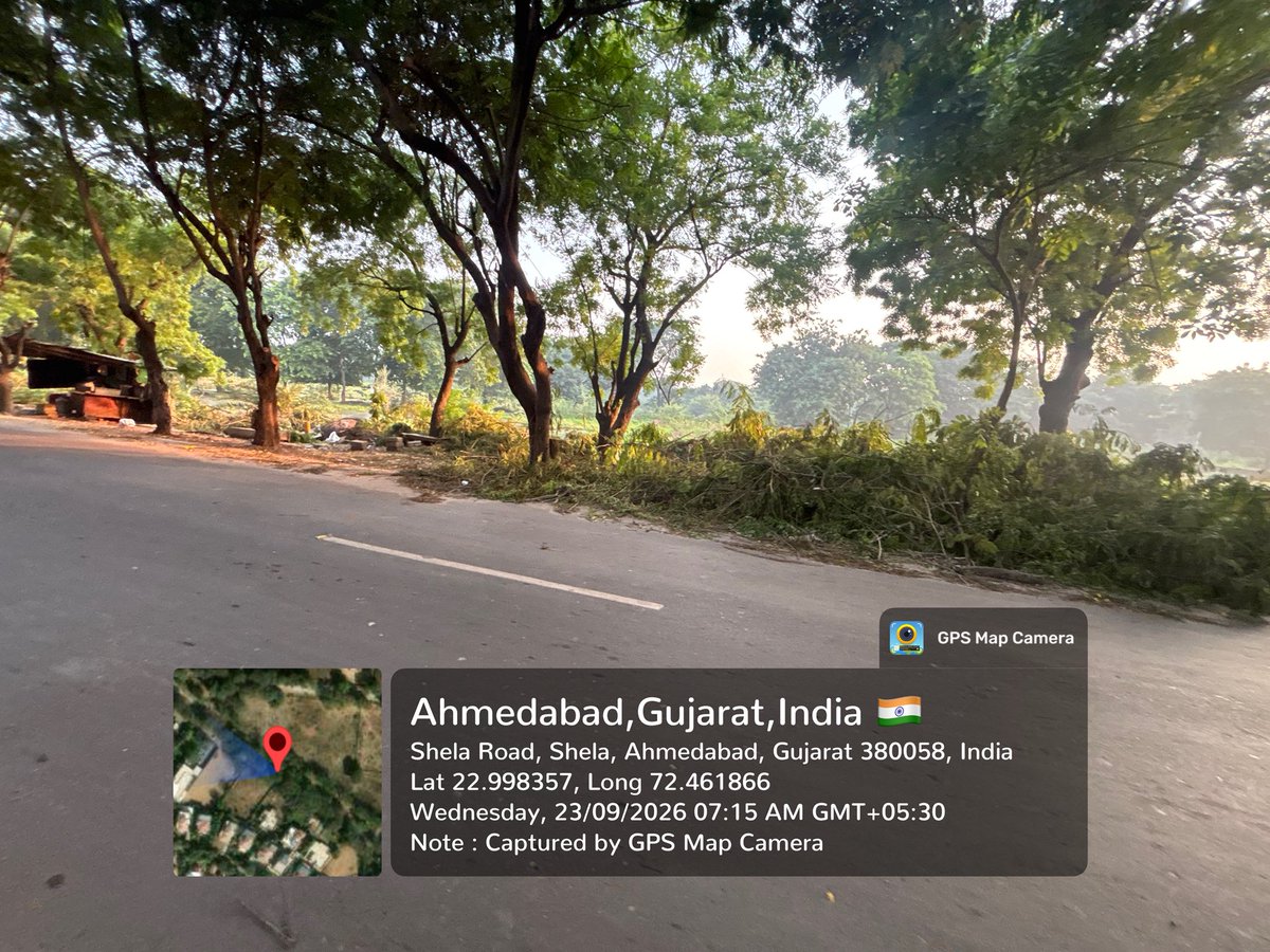 arvindg1970's tweet photo. They call it "development." We call it slowly killing #trees. 

Cement poured right up to the trunks and trees chopped along Nandanbaug–Vraj Homes Road, #Shela #Ahmedabad ,Who authorised this, and where is the permission for the tree cutting? #SaveTreesAhmedabad #Shela https://t.co/MaBT0aeMba