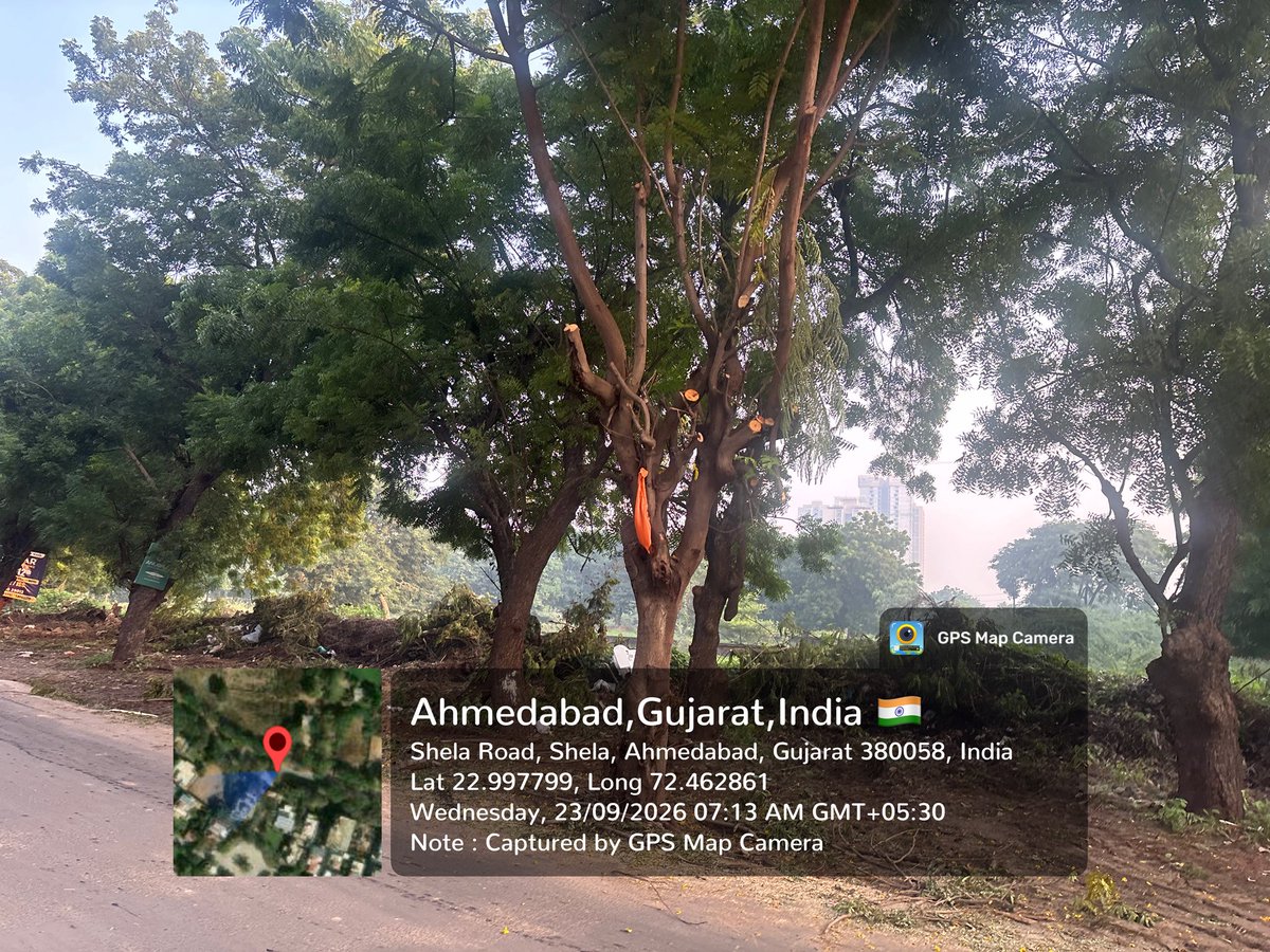 arvindg1970's tweet photo. They call it "development." We call it slowly killing #trees. 

Cement poured right up to the trunks and trees chopped along Nandanbaug–Vraj Homes Road, #Shela #Ahmedabad ,Who authorised this, and where is the permission for the tree cutting? #SaveTreesAhmedabad #Shela https://t.co/MaBT0aeMba