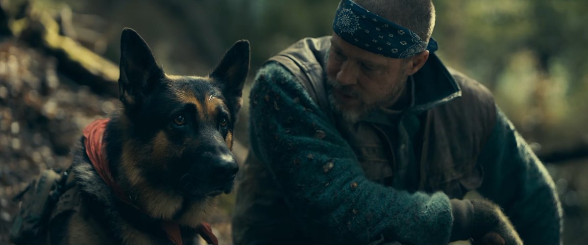 KIRATODO_'s tweet photo. #HeartoftheBeast
Director : David Ayer
Genre: Thriller, Adventure
101mins
⭐⭐⭐½

โลกมอบความโหดร้ายให้เขา แต่เขาดันมอบความรักให้ผม (1) https://t.co/1xouhMtEbT