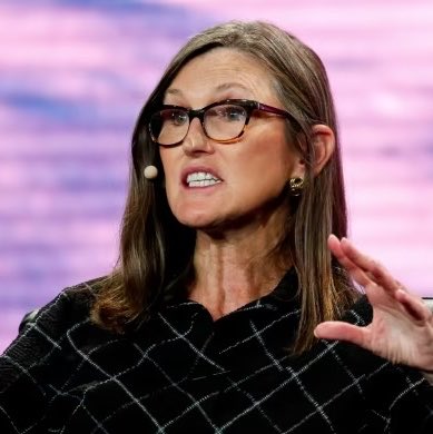 TheSonOfWalkley's tweet photo. CATHIE WOOD BOUGHT $17 MILLION WORTH OF $TSLA STOCK TODAY 👀

She’s back buying the dip ! https://t.co/GJA8O9Pww5