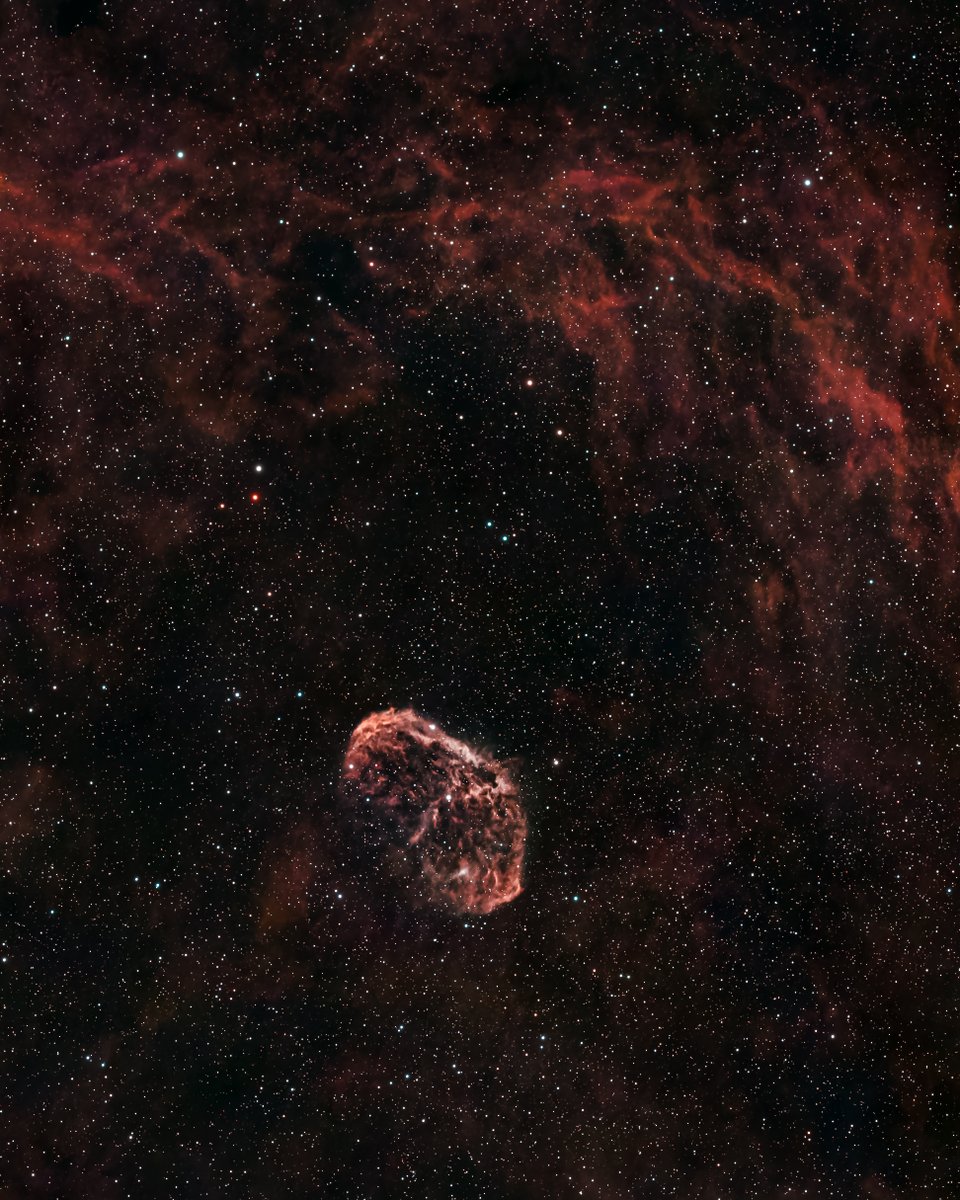DronieCarp's tweet photo. NGC 6888 (The Crescent Nebula) glowing against the rich Cygnus dust. Stacked from 366 x 30s frames (just over 3 hours of total integration) on the Seestar S30 Pro.

​#photography #astrophotography #nebula #space #photos #stargazing #deepsky https://t.co/s8lHmisiTz