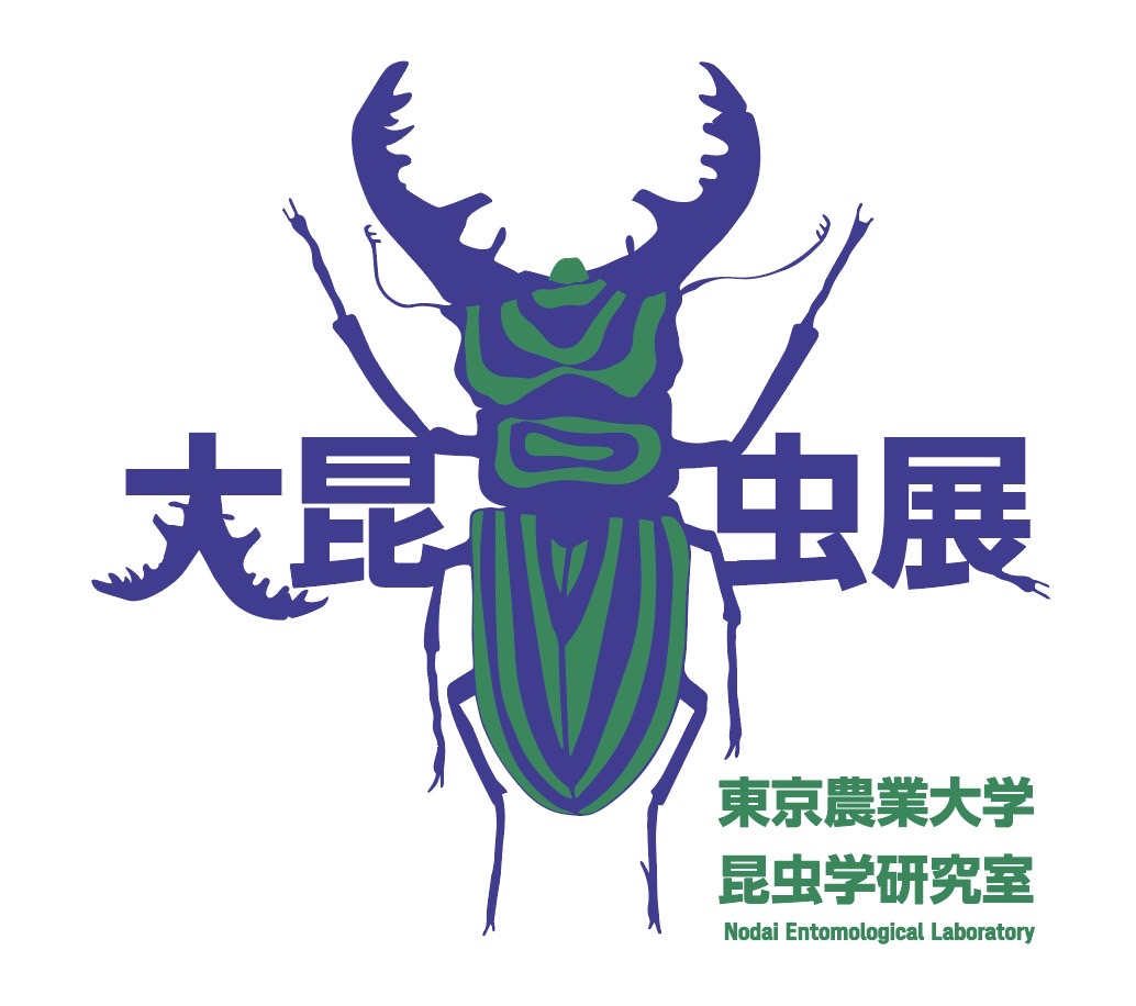 Nodai_Entom's tweet photo. 皆さんこんにちは！東京農業大学 昆虫学研究室です！

1ヶ月後の10月31日と11月1日に行われる厚木キャンパス収穫祭の文化学術展で展示します。
今年のテーマは「東京農業大学 大昆虫展」です！

当日たくさんのご来展、お待ちしております！

#東京農業大学 #収穫祭 #昆虫 #昆研収穫祭2026 https://t.co/Iv3KamaLds