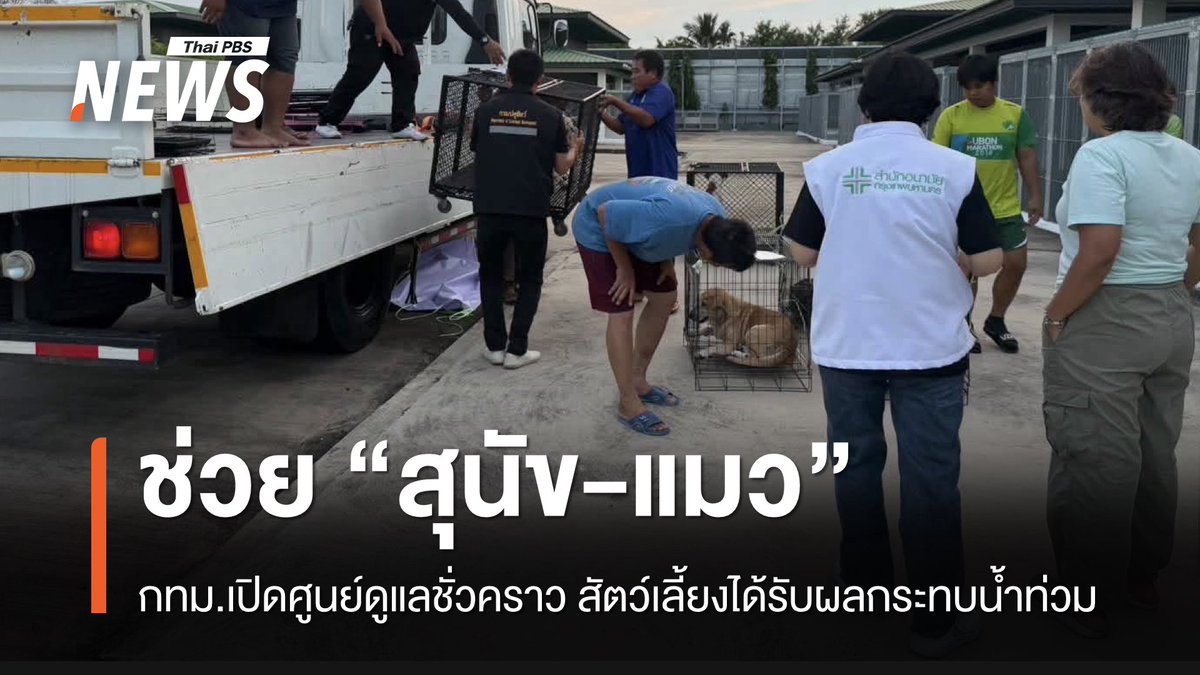 ThaiPBSNews's tweet photo. กทม.เปิดศูนย์ดูแลชั่วคราว ช่วย “สุนัข–แมว” รับผลกระทบน้ำท่วม ทั้งสัตว์เลี้ยงและสัตว์จรจัด ล่าสุดขนย้ายมาดูแลแล้ว 23 ตัว

อ่านข่าว : https://t.co/DYAVaSbauV

#หมา #สุนัข #แมว #กรุงเทพมหานคร #น้ำท่วมกรุงเทพ #กทม #น้ำท่วม #ช่วยเหลือสัตว์ #สัตว์เลี้ยง #สัตว์จรจัด #ฝากสัตว์เลี้ยง  #ข่าวไทยพีบีเอส #ข่าวที่คุณวางใจ #ThaiPBSnews