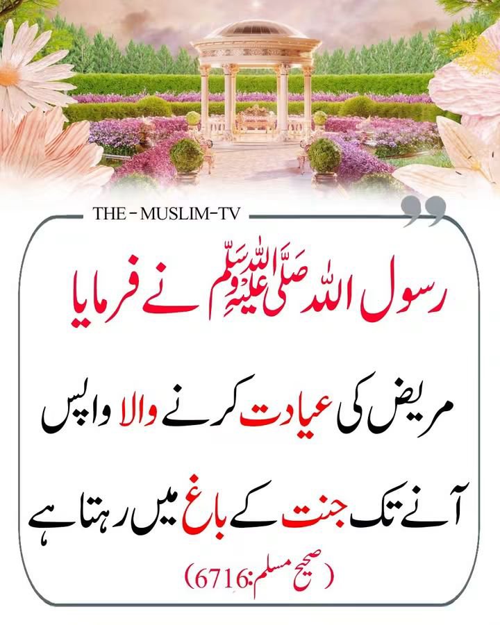 Ajmal_804's tweet photo. رسول اللّٰہ ﷺ نے فرمایا https://t.co/g5prnzIay2