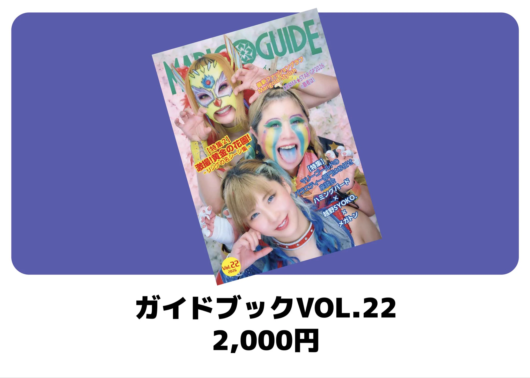 マリーゴールドはここから始まった！　旗揚げガイドブック　Vol.1、2 セット Marigold マリーゴールド على X: 