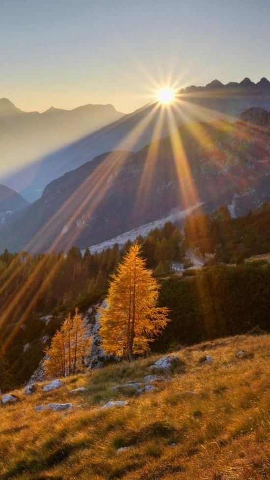 Amanmalik1070's tweet photo. Every sunrise proves that darkness never gets the final word over you.

Good morning https://t.co/spOIxQNQkk