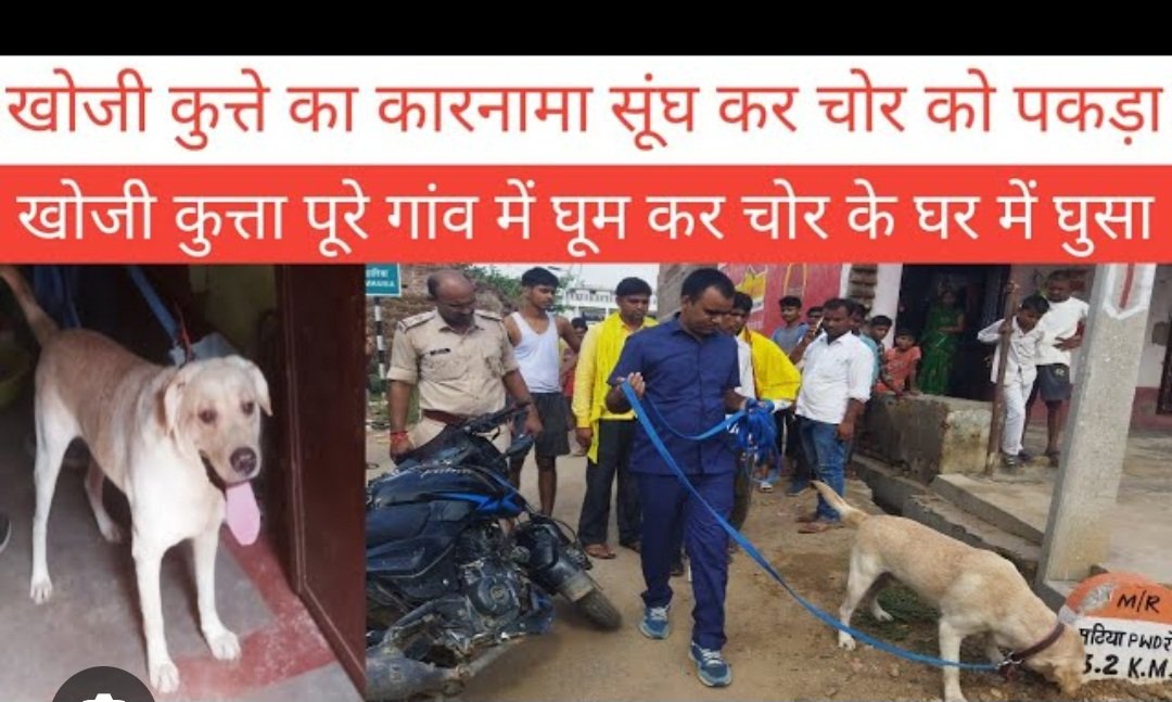 arora14feb's tweet photo. @never382 @Shinde_Revati21 Really ?? https://t.co/ulcFSjwqRQ