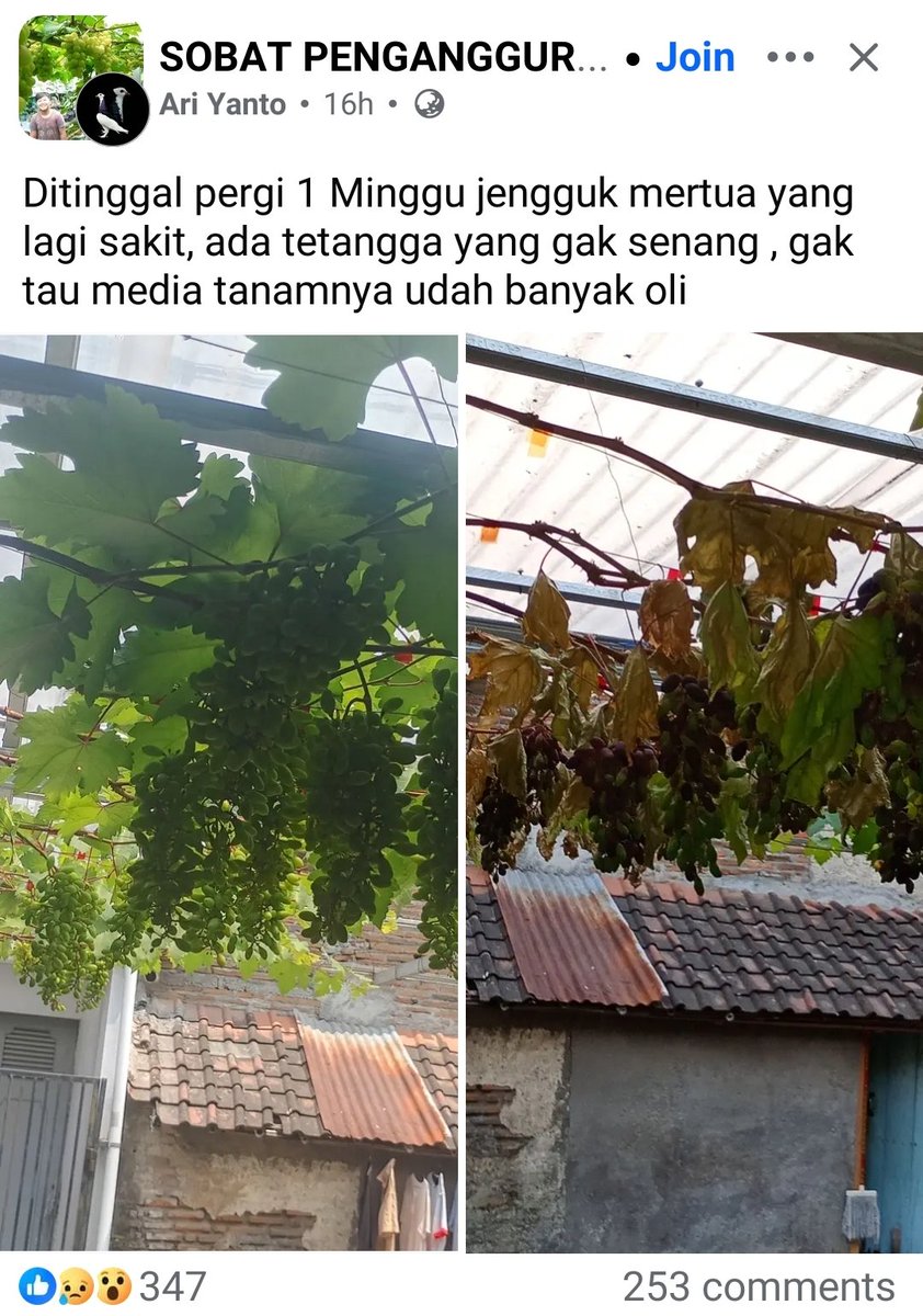 rasndeso's tweet photo. WNI, sudah, dibully rejim masih diganggu tetangga https://t.co/eucOaXLIAb