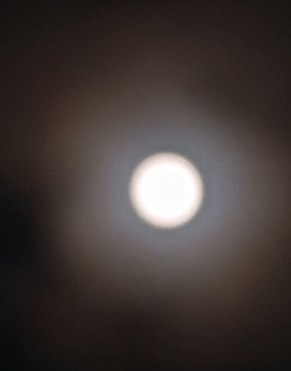 wolfIIuna tweet picture