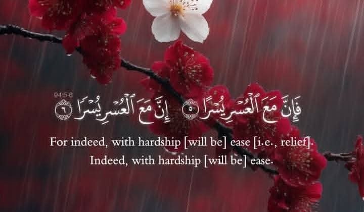 Jan1_dushman's tweet photo. `اللّٰہ تُمہیں ڈھانپے رَکھتا ہے__`
یَہاں تک کہ لوگوں کو گمان ہوتا ہے کہ تُم زَمین کے پاک ترین لوگوں میں سے ہو ۔۔۔
حَالانکہ تُم خُود جانتے ہو کہ تُم کیا ہو۔!🫠 https://t.co/WmVLDyhPTl
