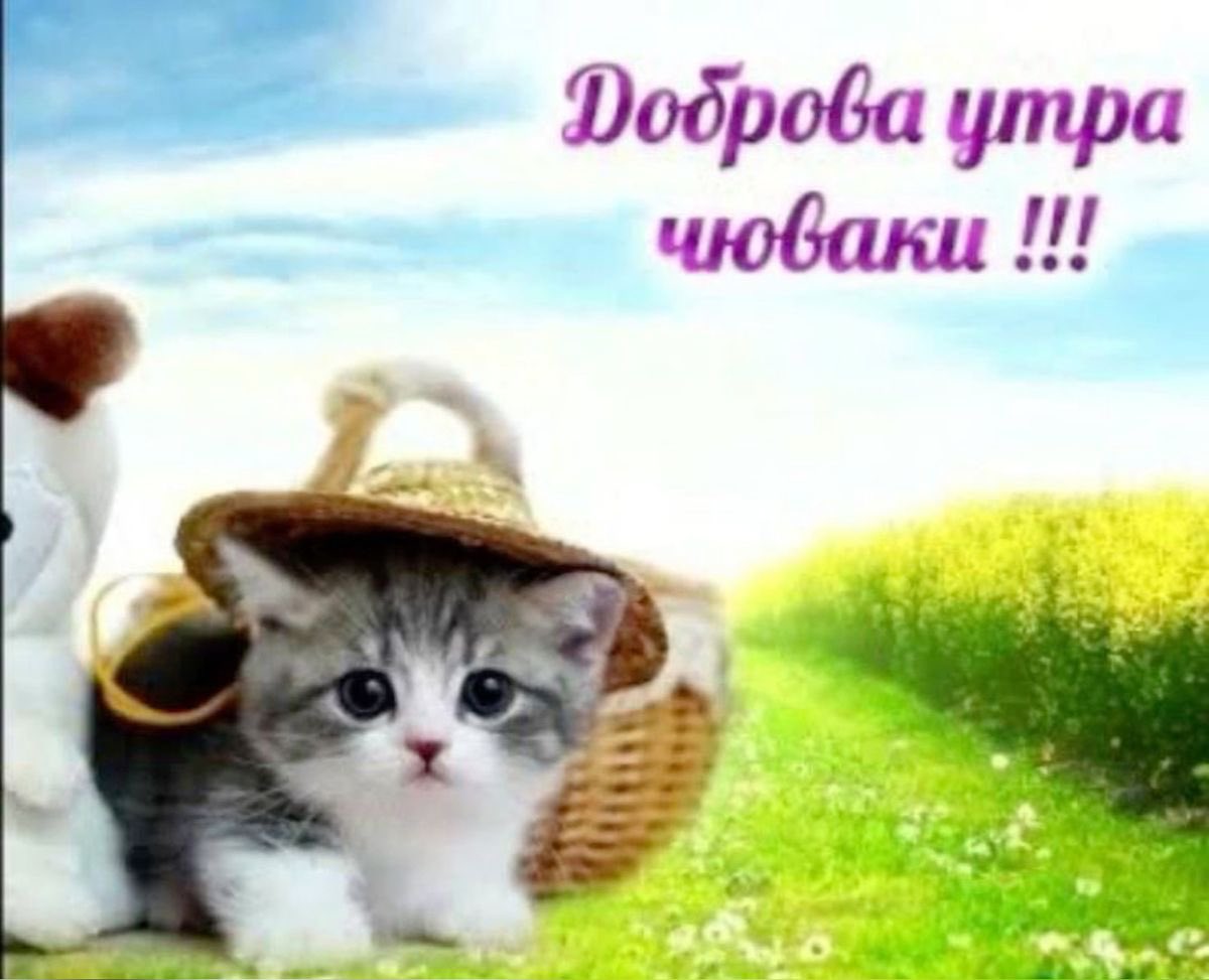 nonnualyt's tweet photo. https://t.co/tKgAKf3K1w