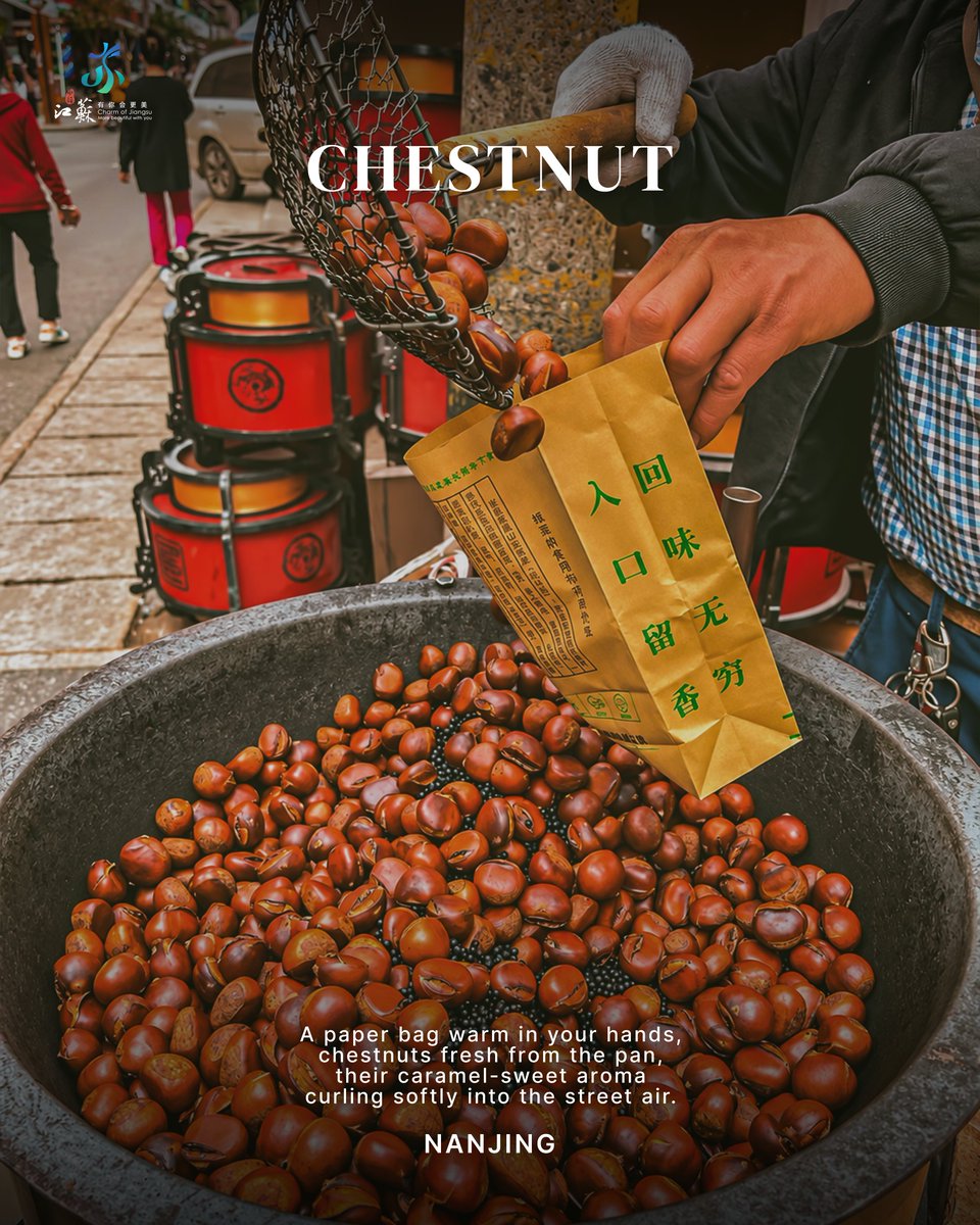 VisitJiangsu's tweet photo. National Day Five Senses | Smell
From the warm aroma of roasted chestnuts on city streets to the sweet fragrance of osmanthus in the air, follow the scents that capture Jiangsu’s autumn memories. https://t.co/7QhidU4xA1