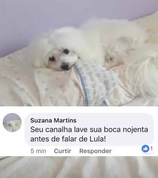 jairmearrependi's tweet photo. https://t.co/Iokj2L5yDW