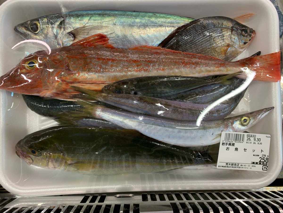 skanayaneko's tweet photo. お魚セット258円いかがですか❓ https://t.co/YHGyaMCoBp