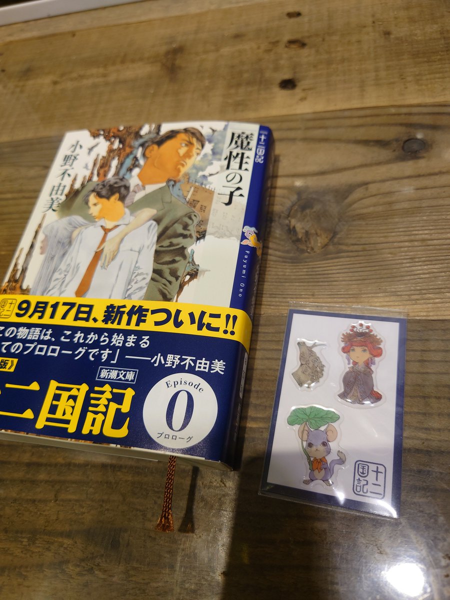 TAKAme_AA's tweet photo. いつか買って読もうと思ってた

シールがすでにセットされてシュリンクかかってるスタイルの本屋さんで見かけた『魔性の子』

...今だな。と https://t.co/aIRoQh7hrK