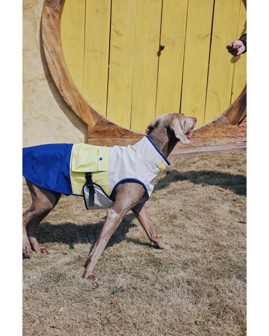 luckydudu_box's tweet photo. Functional color block dog vest. Stand‑up neck protection. Side pocket for tiny supplies. Adjustable buckle for easy fitting. Sleeveless cut for full mobility. Suitable for walks and hiking.
#fyp #foryou #dogvest #petoutdoor #dogclothes
https://t.co/HyigmNkLpi https://t.co/cq1vwijn14