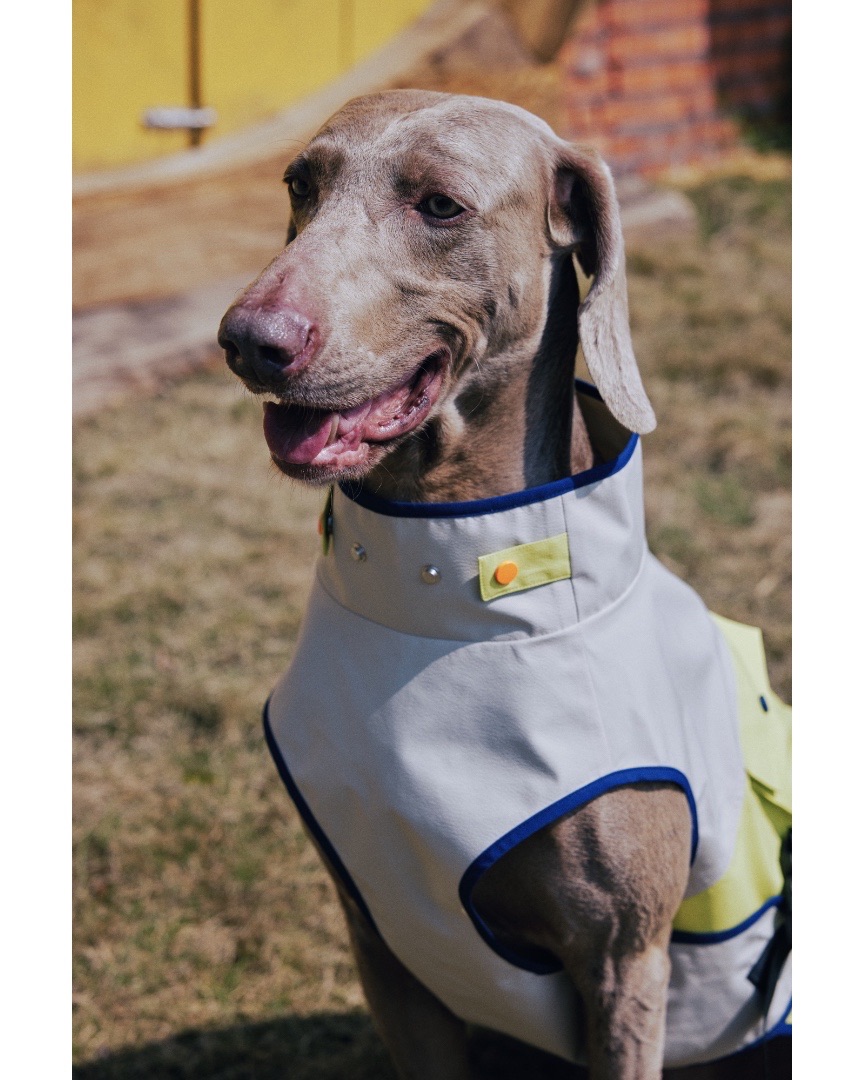 luckydudu_box's tweet photo. Functional color block dog vest. Stand‑up neck protection. Side pocket for tiny supplies. Adjustable buckle for easy fitting. Sleeveless cut for full mobility. Suitable for walks and hiking.
#fyp #foryou #dogvest #petoutdoor #dogclothes
https://t.co/HyigmNkLpi https://t.co/cq1vwijn14