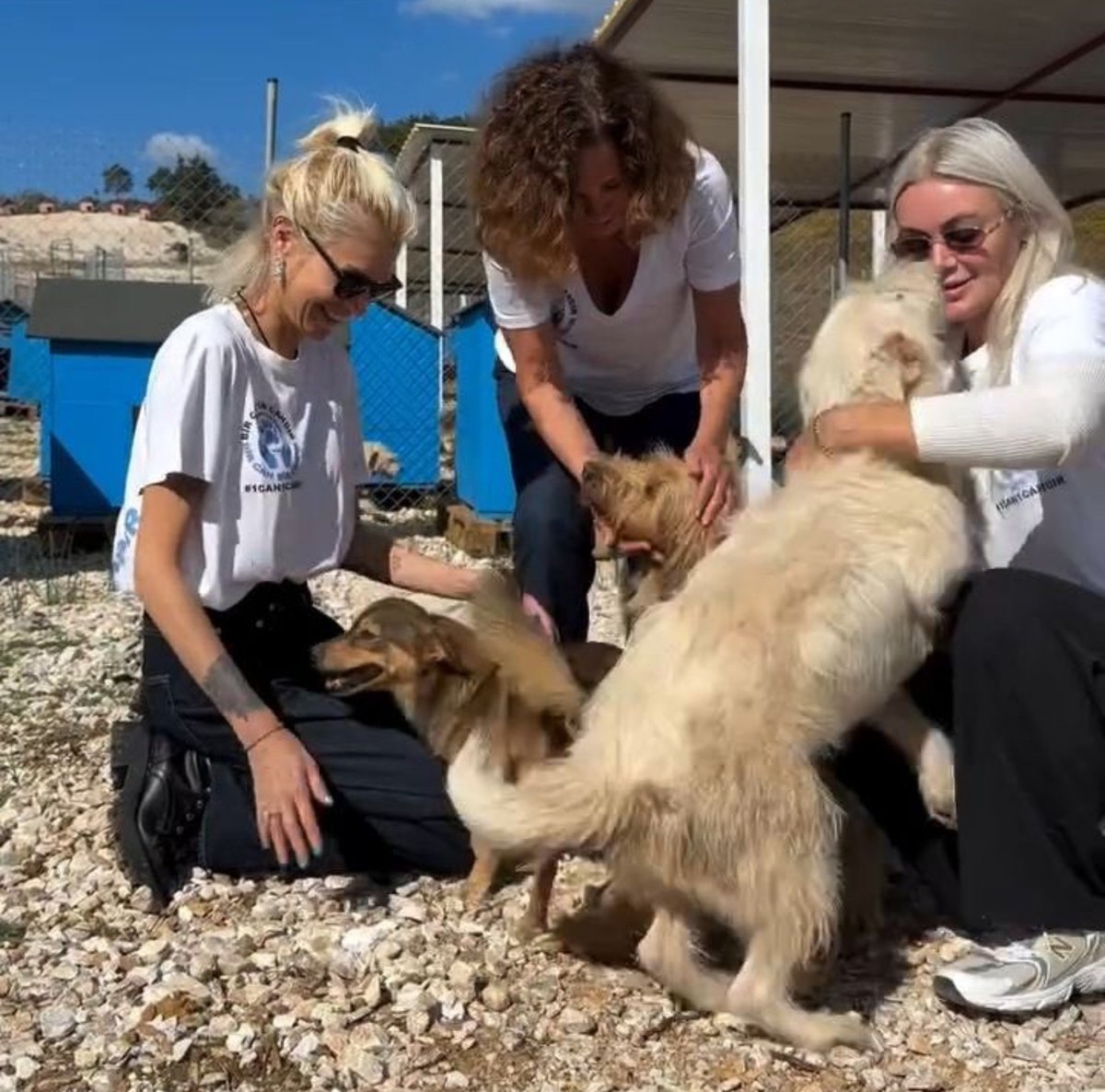 cmcrn1980's tweet photo. Bir Can Bir Candır Derneği

Sokak köpekleri için dernek kurmuşlar.

Kurucular:

Derin Mermerci
Ender Mermerci
Zeynep Kocabıyık
Deniz Ketenci
Zeynep Madra
Hare Dinçer
Rana Erkan Tabanca

Fatma Betül Sayan Kaya ve Mustafa Sandal haberlerinden sonra bu haber bana iyi geldi.

😀 https://t.co/OzqvaGrFQW